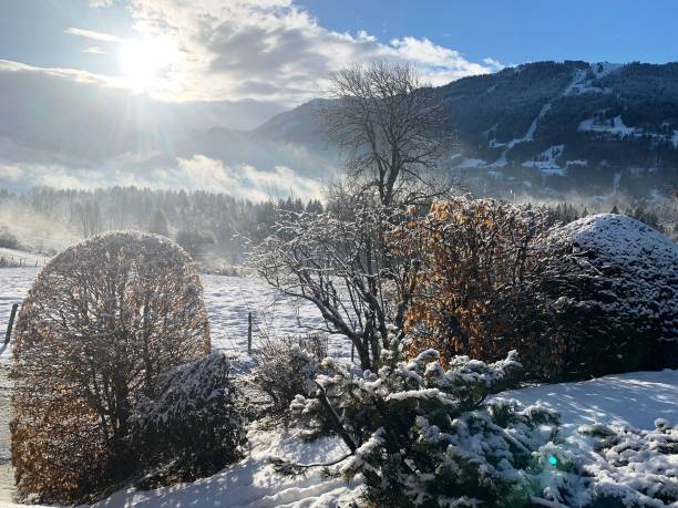 istock Snow landscape in the Alps 1585493741