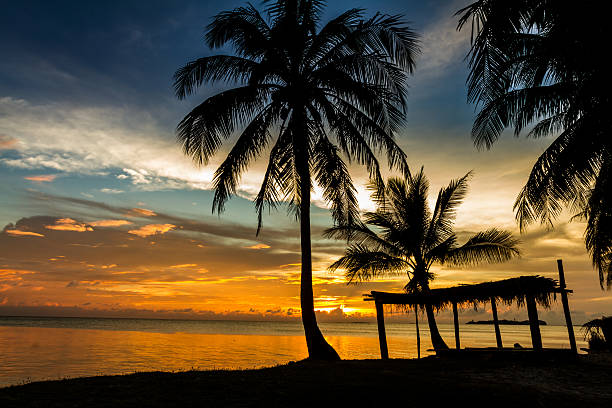 istock Tropical gazebo amazing beach with palm tree in silluate background 158551441