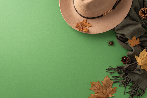 Fall-inspired timeless women's ensemble concept. Top view of brimmed wool hat, sophisticated taupe scarf, scattered maple leaves, anise, and pine cones on green background with room for text or advert