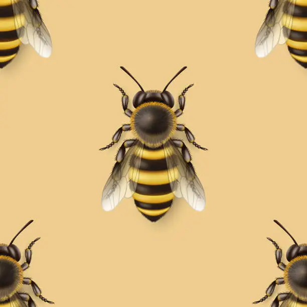 Vector illustration of Vector Seamless Pattern with 3d Realistic Detailed Honey Bee Icon Closeup on Yellow Background. Queen Honeybee Design Template, Vector Illustration of Bee in Macro, Top View