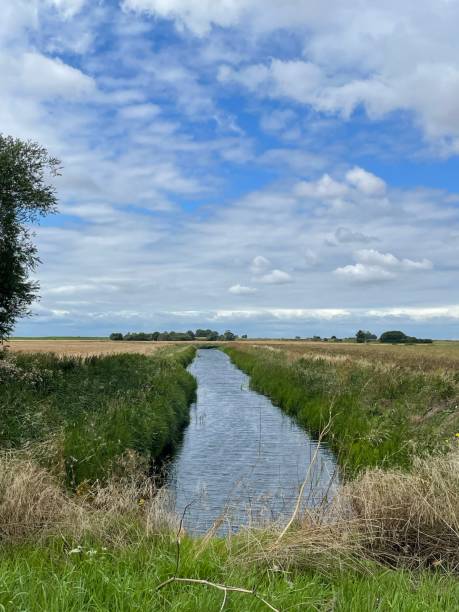 istock Dyke in the Fens 1585530863