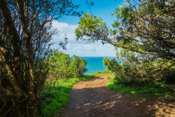 Tracking path among picturesque knolls leading