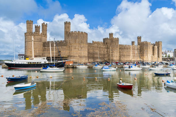 caernarfon castle - caenarvon castle caernarfon castle wales stock-fotos und bilder