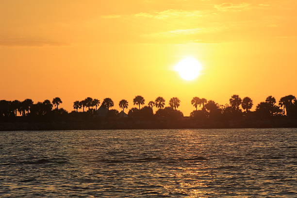 istock Sunset over the palm trees in Florida 158554215