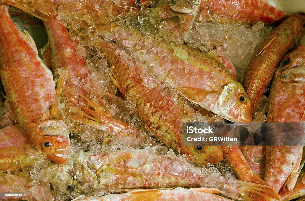 Recién salmonetes en el hielo en el mercado de pescado - Foto de stock de Brixham libre de derechos