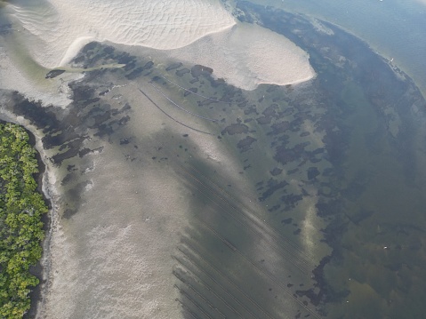 An aerial view of the Myall River and nearby areas in Australia