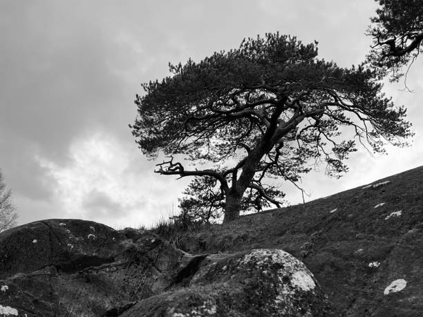 istock Scenic views at Howtown in Cumbria 1585557579