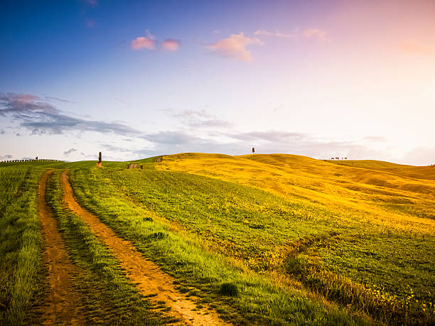 istock Landscape in Tuscany at sunrise 158556721