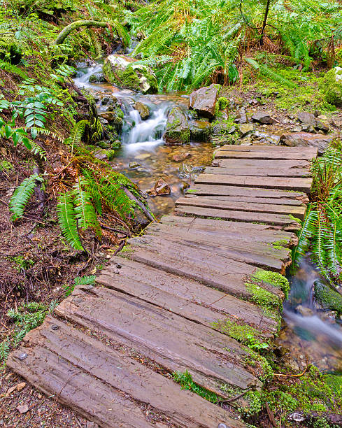 istock Fragemnt of Trail 158556769