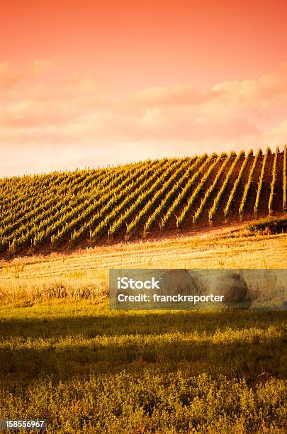 Region Chianti Hills Z Winnica W Zachód Słońca W Toskania - zdjęcia stockowe i więcej obrazów Toskania - Włochy