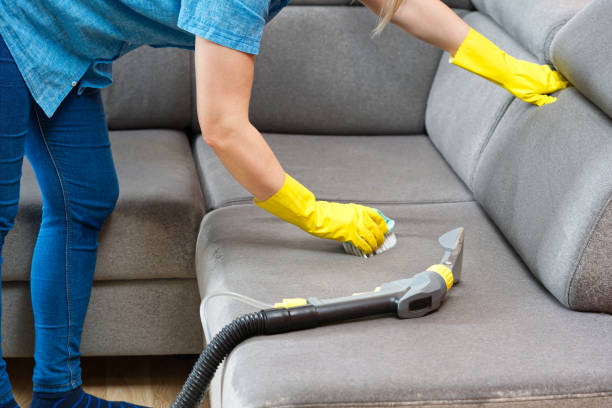 istock Textile sofa chemical cleaning with professionally extraction method. Upholstered furniture. 1585574002