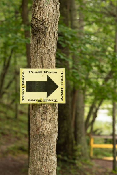 istock Trail race sign in wooded area. 1585582422
