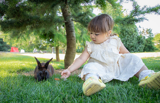 Baby girl feeding rabbits in nature learns to communicate with animals