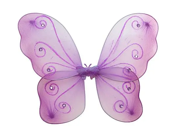Fairy wings on a white background
