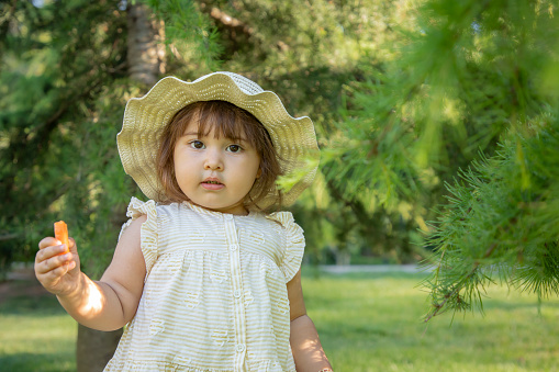 Photo of a baby girl wearing a hat and holding a carrot in nature
