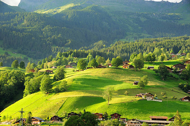 grindelwald villaggio di berner oberland, svizzera - bernese oberland foto e immagini stock