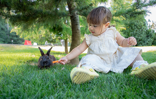 Baby girl feeding rabbits in nature learns to communicate with animals