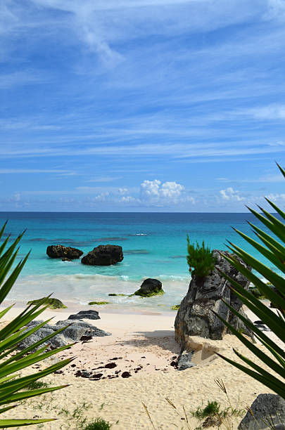 버뮤다 플라주 장면 - bermuda beach limestone rock 뉴스 사진 이미지