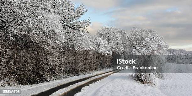 Estrada De Inverno - Fotografias de stock e mais imagens de Ao Ar Livre - Ao Ar Livre, Branco, Cena Não Urbana