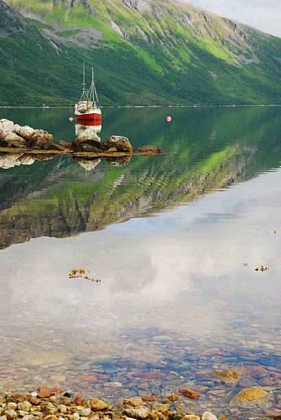 istock Norwegian fjord with red ship under green mountain. 158566209
