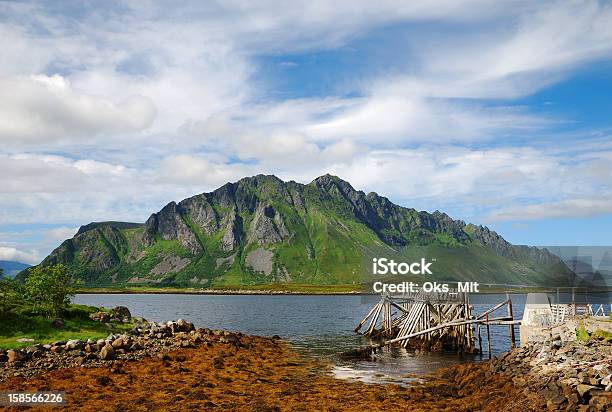 Lofoten Islands In Summer Stock Photo - Download Image Now - Norway, Seaweed, Beauty In Nature