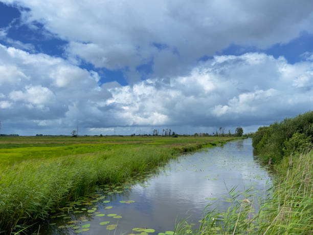 istock Blue sky with white clouds above nature reserve De Onlanden. Typical Dutch cloudy sky. 1585667185