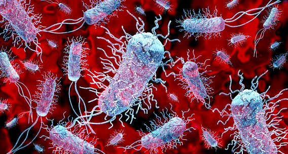 Antecedentes de bacterias photo
