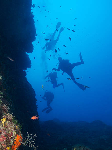 istock Divers in the mediterranean sea 158568473