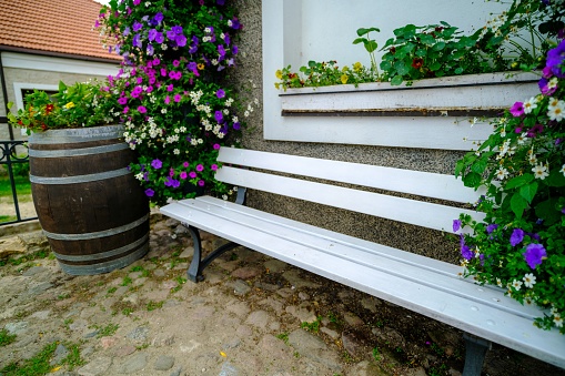 an elegant white bench against the wall, behind which climbing petunias of various colors bloom. And a wooden water barrel