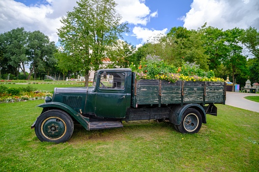 Pakruojis, Lithuania. July 7 , 2023: A flower bed in the cargo box of an old vintage car. selective focus.