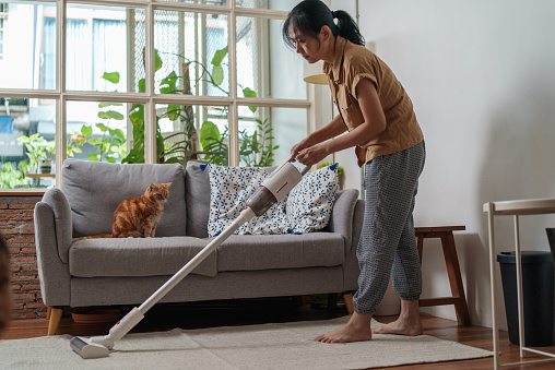 Asian woman cleaning carpet with vacuum cleaner while cute tabby cat sitting on sofa.