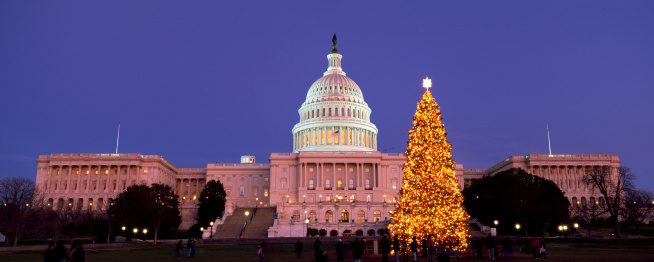 The Capitol Christmas Tree glows at dusk.
