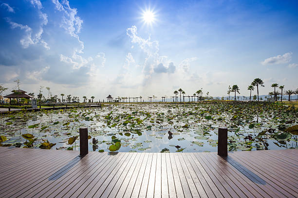 Blue Sky and Sunstar stock photo