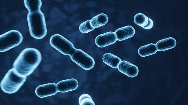 istock Microbiome of human immunity. Probiotic background. People health background. 3d-rendering 1585787204