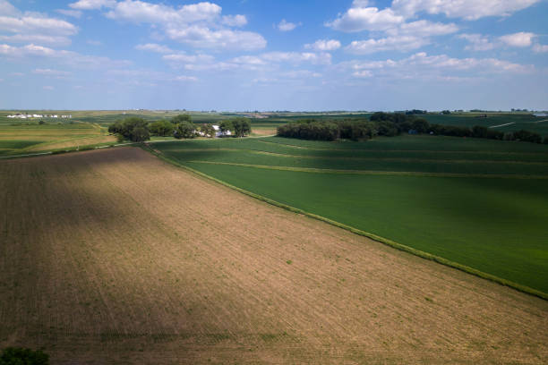 istock wavy fields with lines of winter crops in spring at evening sky 1585789322
