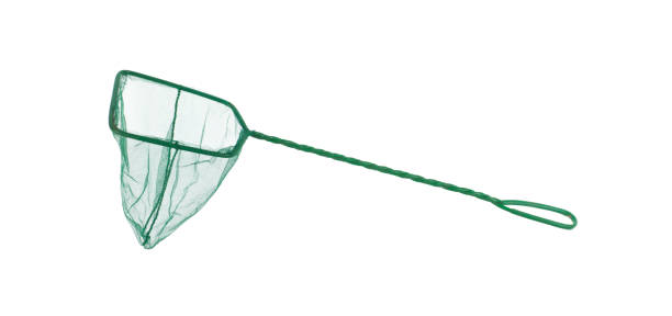 istock aquarium landing net isolated on white background 1585796539