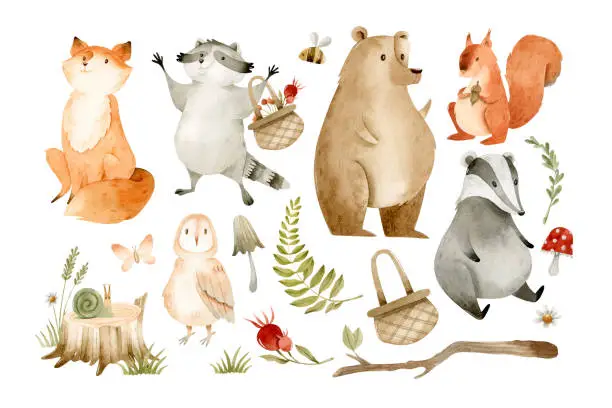 Vector illustration of Forest animals and watercolor nature elements isolated clipart set