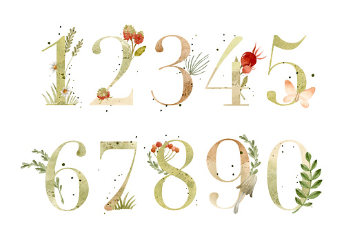 Watercolor numbers with texture and botanical elements