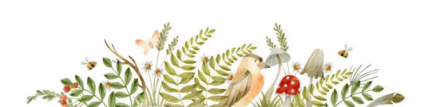 Vector illustration of Forest bird, ferns, mushrooms and butterfly watercolor banner