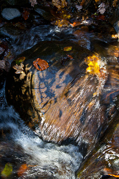 Autumn Stream stock photo