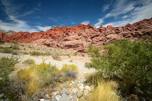 Red Rock Canyon Conservation Area, Nevada, America with beautiful deep blue desert sky, cloud formations and desert vegetation