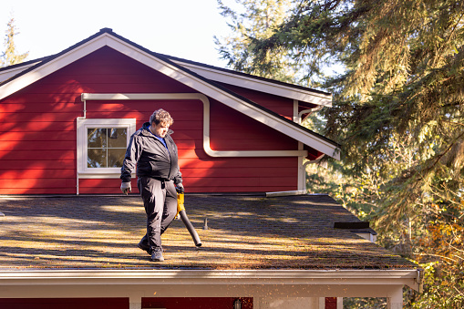 A man with a leaf blower is cleaning a roof from moss and needles