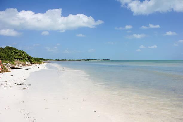 Florida Keys Beach stock photo