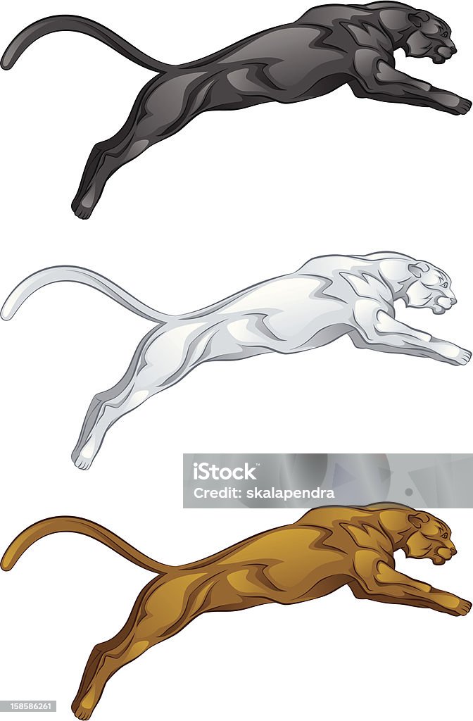 Puma Stock Illustration - Download Image Now - Jumping, Mountain Lion,  Aggression - iStock