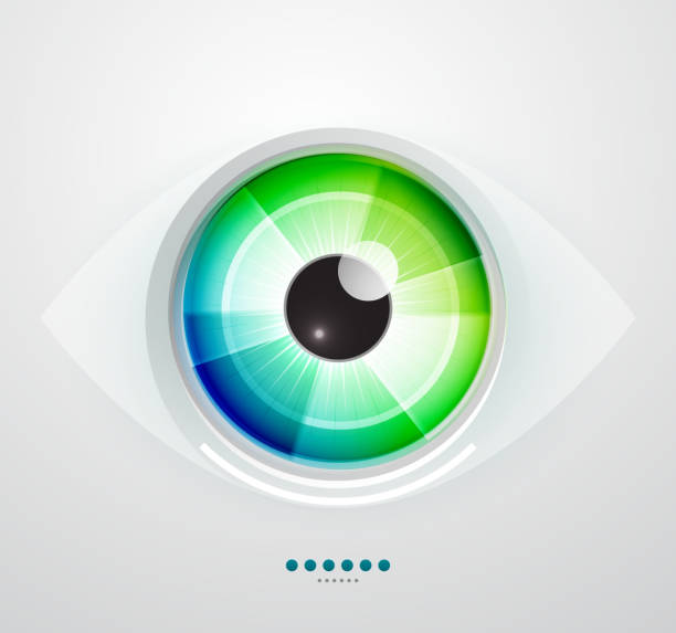 Vector eye vector art illustration