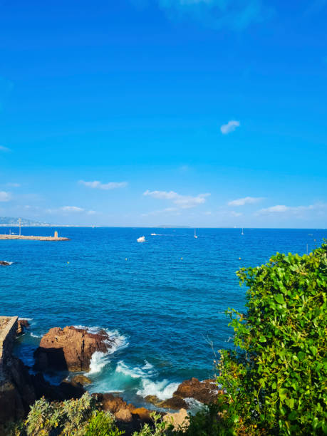 istock France sea coast, summer background 1585881747