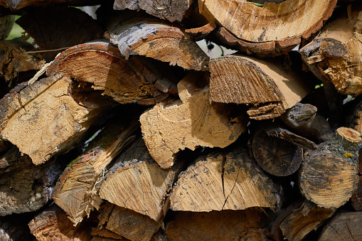Photo woodpile of birch firewood, cut of tree, felling, chopping firewood. Bonfire, bath.