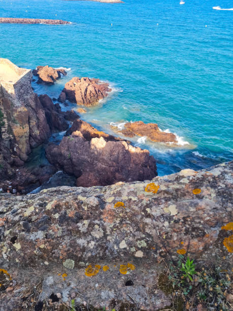 istock France sea coast, summer background 1585886046