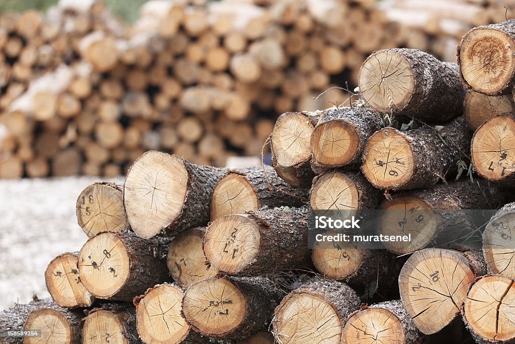 Stacked Logs Woodstack background of Pine. Backgrounds Stock Photo