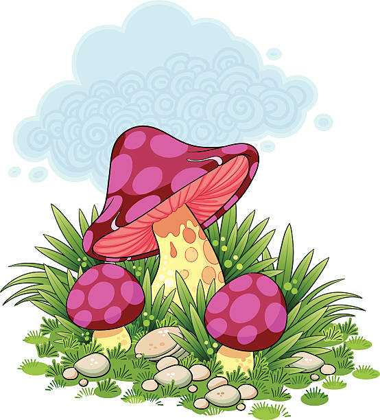 Mushroom vector art illustration